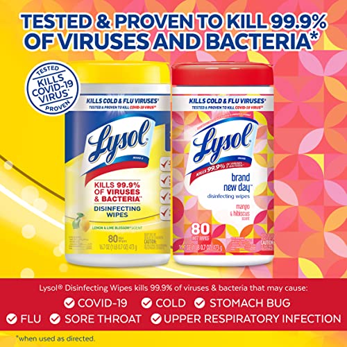 Lysol Disinfectant Wipes, Multi-Surface Antibacterial Cleaning Wipes, For Disinfecting and Cleaning, Lemon and Lime Blossom, 80 Count (Pack of 3)