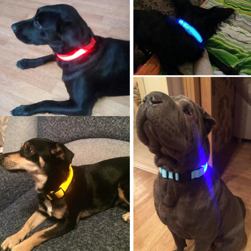 The LED Dog Collar