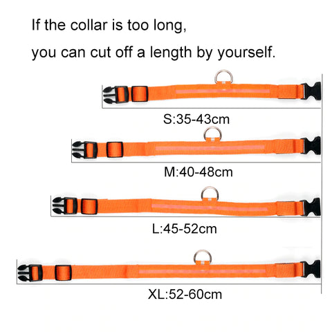Image of The LED Dog Collar