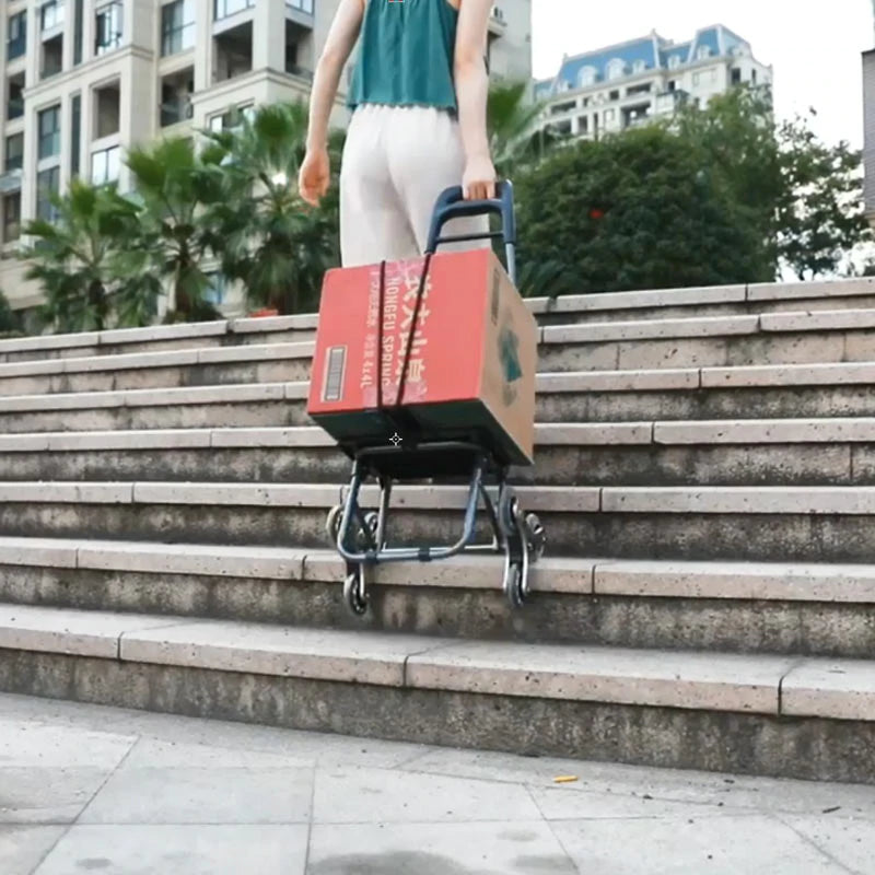 Woman trolley Shopping Cart